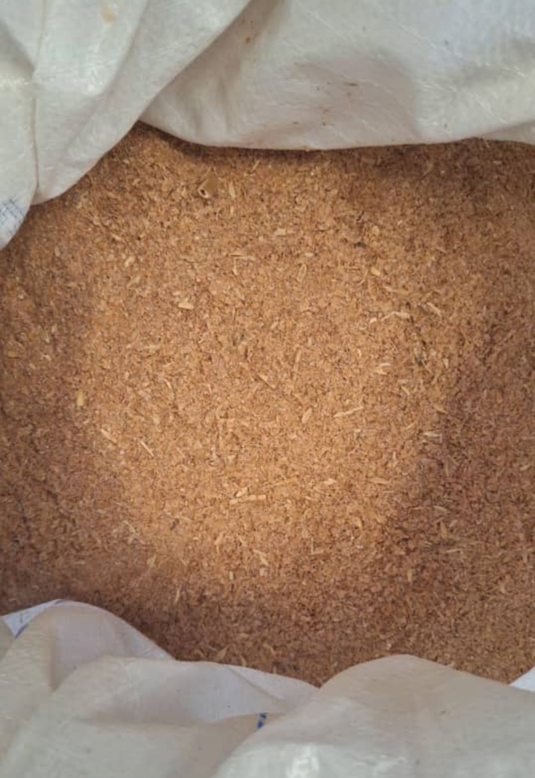 Wheat Bran for Animal Feed Export